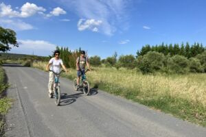 IMG_8990[1]